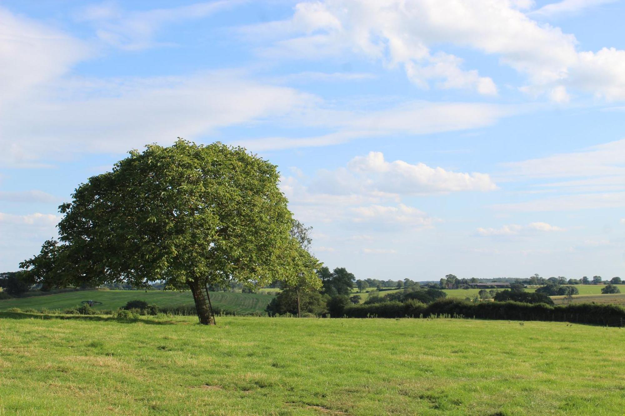 Parkfields Barns Self Catering Accommodation バッキンガム エクステリア 写真