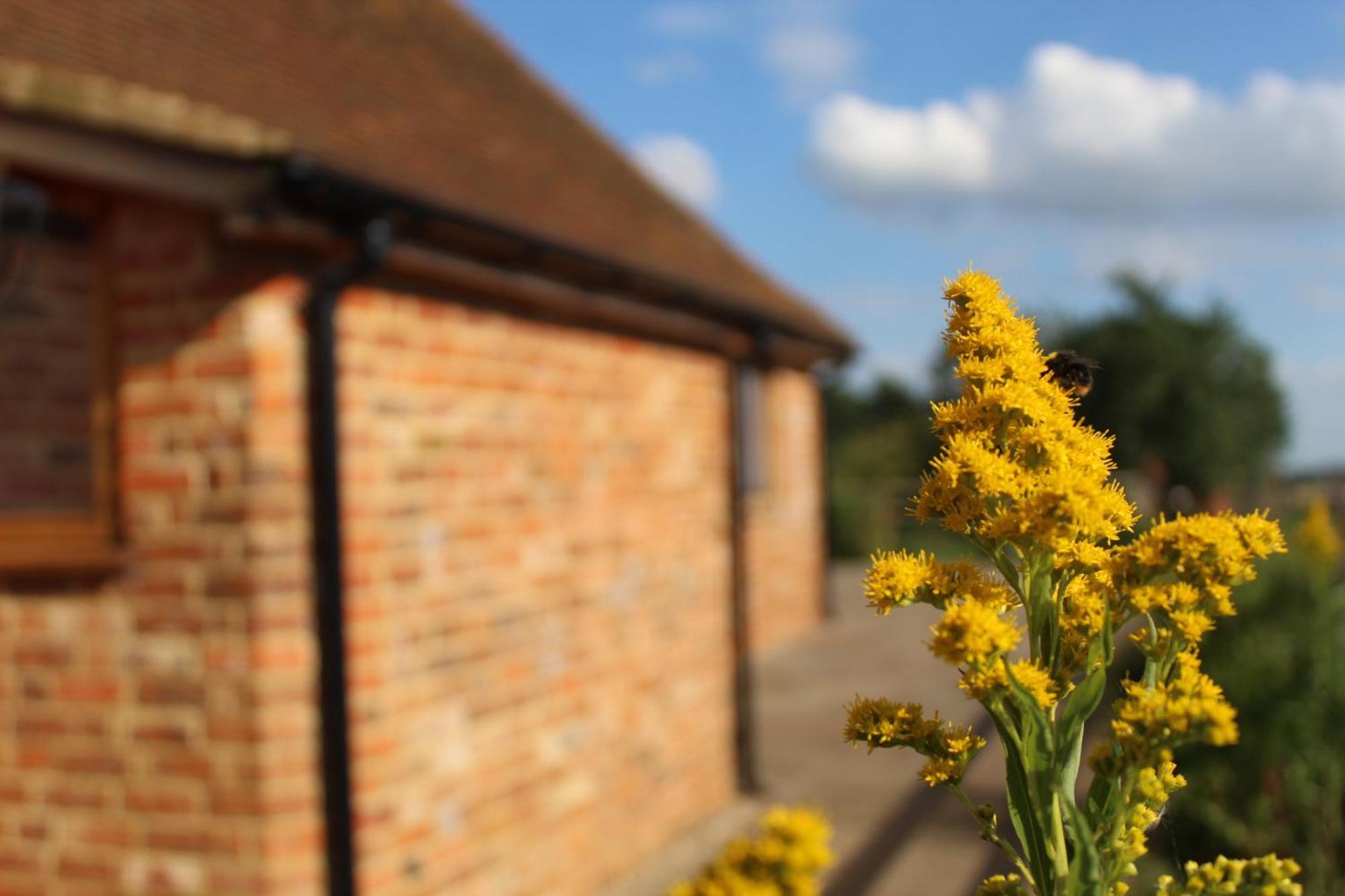 Parkfields Barns Self Catering Accommodation バッキンガム エクステリア 写真